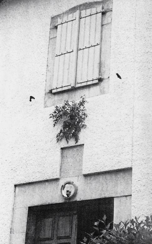 Jondana Jühane liliak, flores de San Juan, sobre la puerta de una casa de Altzai (Z), 1997. Fuente: Michel Duvert, Grupos Etniker Euskalerria.