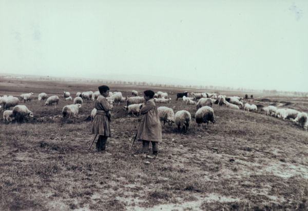 Niños pastoreando en Armentia (A), c. 1925. Fuente: Archivo Municipal de Vitoria.