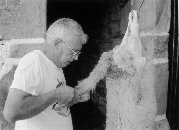 Despellejando la oveja sacrificada. Bera (N), 1998. Fuente: Rondán Jimeno, Grupos Etniker Euskalerria.