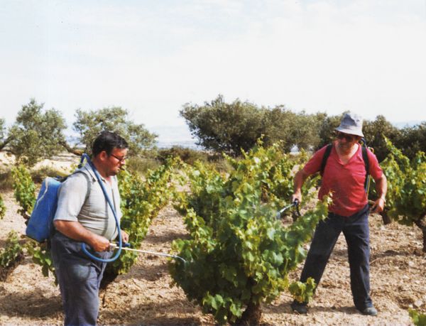 Sulfatando las viñas. Moreda (A), 1982. Fuente: José Ángel Chasco, Grupos Etniker Euskalerria.