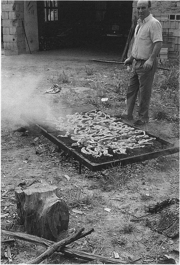Asando chuletas de cordero en las fiestas patronales. Apodaka (A), 1988. Fuente: Isidro Sáenz de Urturi, Grupos Etniker Euskalerria.