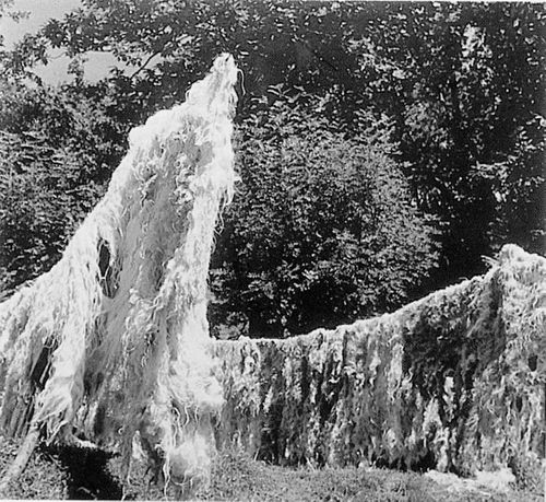 Secando la lana. Navarra. Fuente: Archivo Museo de Navarra: Fondo Nicolás Ardanaz.