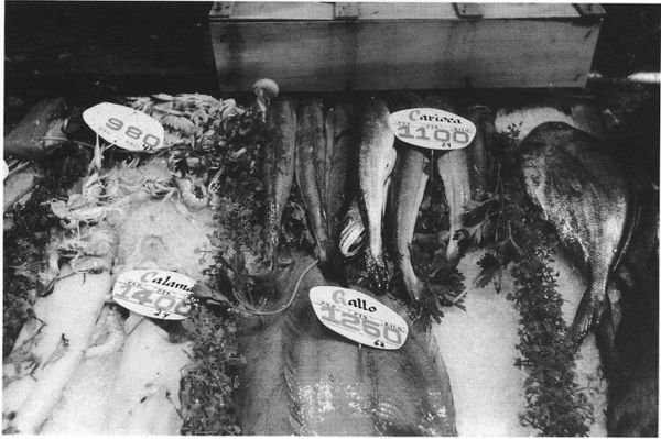 Los precios del pescado. 1990. Fuente: Alejandro Zugaza, Grupos Etniker Euskalerria.