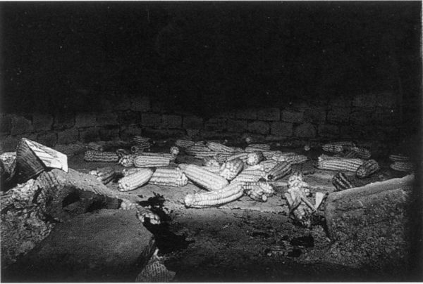 Secado de las mazorcas en el horno. Fuente: Ander Manterola, Grupos Etniker Euskalerria.