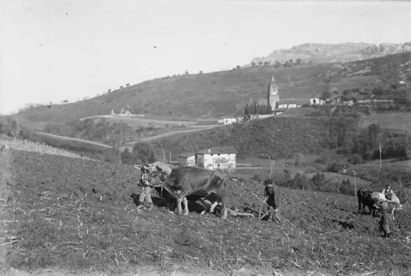 Arando la tierra con arado. Zeanuri (B), 1920. Fuente: Archivo Fotográfico Labayru Fundazioa: Fondo Felipe Manterola.