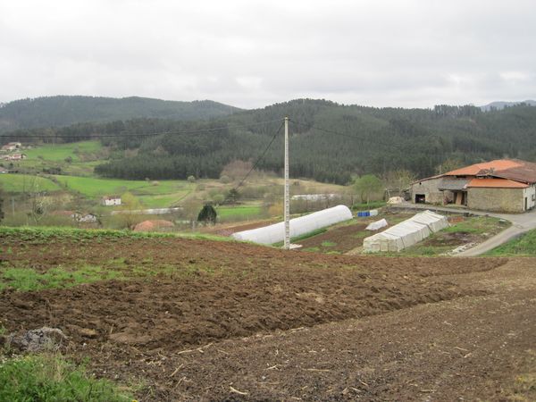 Preparación de la tierra de cultivo. Ajangiz (B), 2011. Fuente: Segundo Oar-Arteta, Grupos Etniker Euskalerria.