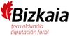 Logo-bizkaiko-foru-aldundia-diputacion-foral.jpg