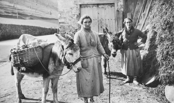 Transporte de leche en burro. Fuente: Archivo Fotográfico Labayru Fundazioa (postal de Lucien Roisin).