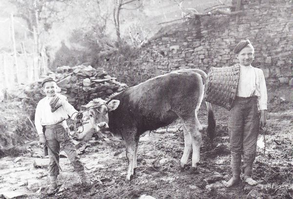 Cuidado de animales. Gipuzkoa, c. 1930. Fuente: Archivo Ojanguren.