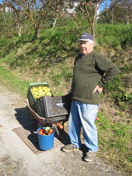 Recogiendo manzanas. Mendata (B), 2011. Fuente: Segundo Oar-Arteta, Grupos Etniker Euskalerria.