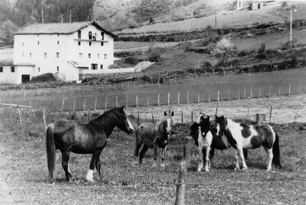 Yeguas en Berastegi (G), 1977. Fuente: Iñaki Linazasoro, Grupos Etniker Euskalerria.