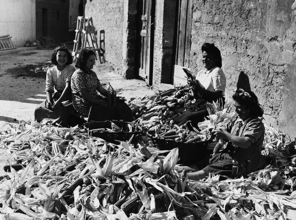 Deshoje del maíz. Marcilla (N), c. 1945. Fuente: Archivo Real y General de Navarra: Marqués de Santa María del Villar.