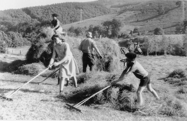 Recogiendo hierba seca. Berastegi (G), 1978. Fuente: Iñaki Linazasoro, Grupos Etniker Euskalerria.