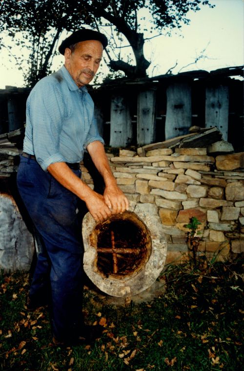 Cabillas en el interior de un cepo de tronco. Carranza (B). Fuente: Miguel Sabino Díaz, Grupos Etniker Euskalerria.