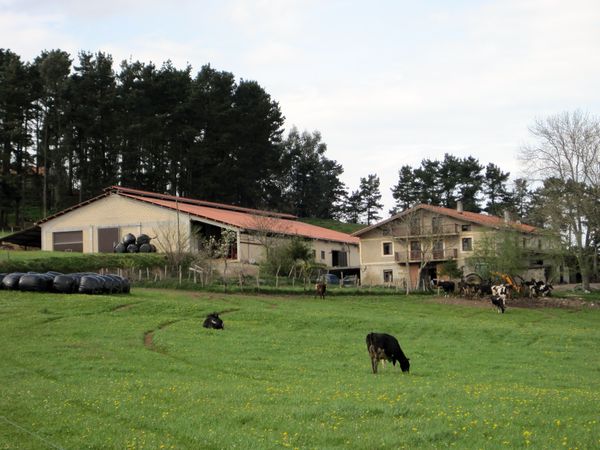 Estabulación para el ganado. Errigoiti (B), 2011. Fuente: Segundo Oar-Arteta, Grupos Etniker Euskalerria.