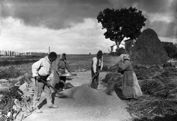 Aventando el grano. Álava, c. 1940. Fuente: Archivo Municipal de Vitoria-Gasteiz: Enrique Guinea.