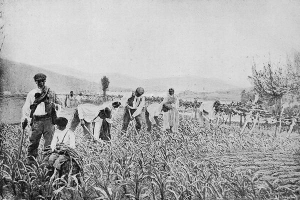 La salla del maíz, 1911. Fuente: JEL. Núm. 21. Bilbao: 1911, p. 333.