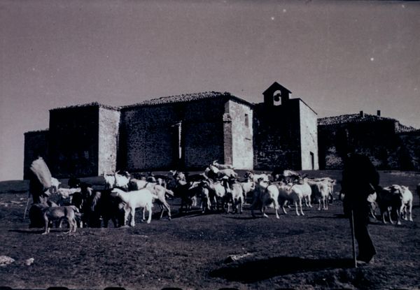 Cabrero alavés, 1949. Fuente: Archivo Municipal de Vitoria.