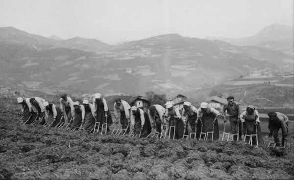 Labrando la tierra con layas. Zeanuri (B), 1920. Fuente: Archivo Fotográfico Labayru Fundazioa: Fondo Felipe Manterola.