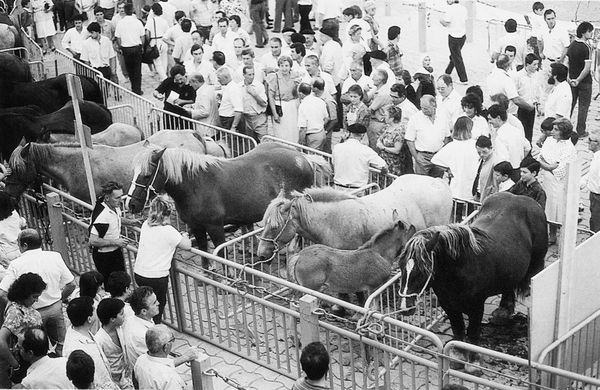Feria de Santiago de Vitoria (A), 1986. Fuente: Etniker Álava (Díaz de Corcuera), Grupos Etniker Euskalerria.