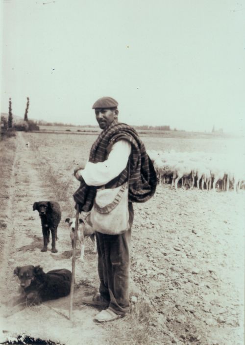 Pastor con sus perros en Lacua (A), c. 1920. Fuente: Archivo Municipal de Vitoria.