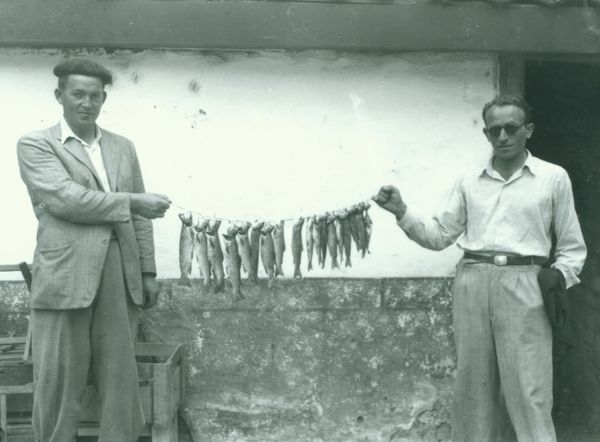 Truchas. Fuente: Archivo Asociación Guerediaga. Durango. Foto Germán.