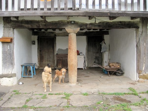Animales domésticos guardan la casa - Etnográfico de Vasconia
