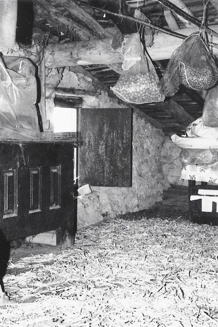 Secado de alubias en el desván superior, goiko ganbara. Zerain (G), 1983. Fuente: Karmele Goñi, Grupos Etniker Euskalerria.