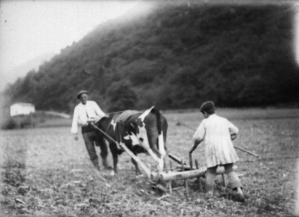 Itailarekin lanean. Zeanuri (B), 1920. Fuente: Archivo Fotográfico Labayru Fundazioa: Fondo Felipe Manterola.
