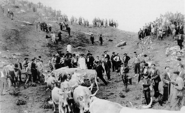 Tributo de las Tres Vacas sobre la sima de San Martín, Valle de Roncal (N), c. 1930. Fuente: Archivo Ojanguren.