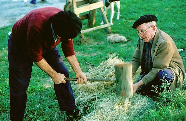 Mazado del lino. Aramaio (A), 1987. Fuente: Gerardo López de Guereñu, Grupos Etniker Euskalerria.