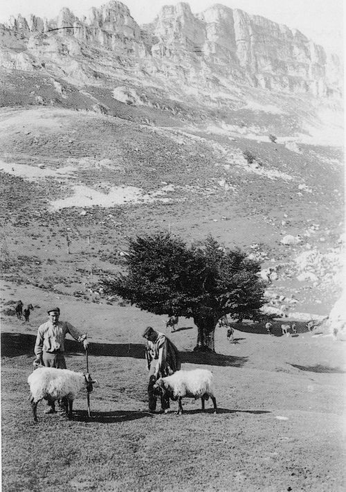 Pastores en Aldamiñape, Gorbea (B), c. 1925. Fuente: Archivo Fotográfico Labayru Fundazioa: Fondo Manterola.