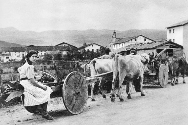 Carro de ruedas de madera. Etxarri Aranatz (N), 1953. Fuente: Baroja, Pío. El País Vasco. Barcelona: 1966, p. 139 (foto de Ramón Dimas).