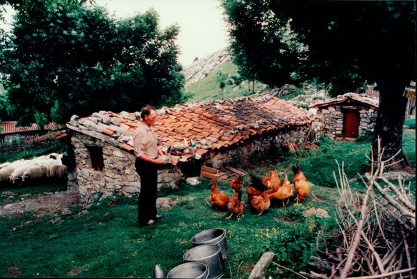 Pastor alimentando sus gallinas. Oidui, Aralar (G), 1982. Fuente: José Zufiaurre, Grupos Etniker Euskalerria.